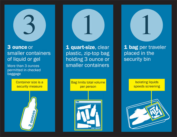 How Many Quart-Size TSA Bags Can I Carry On in the USA? - Plaid